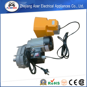 250watt AC Electric Motor China Speed Reducer 220V